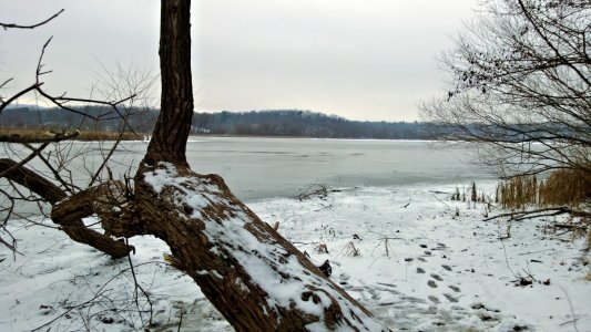 CS20121201135547.jpg