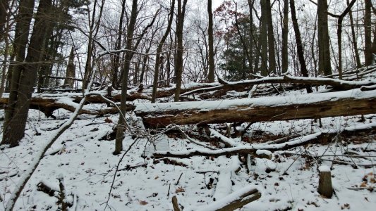 CS20121201140251.jpg