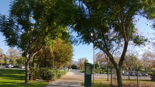WP_20121125_016.jpg
