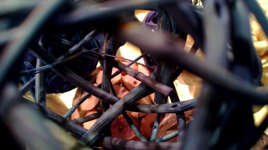 macro_twigball.jpg