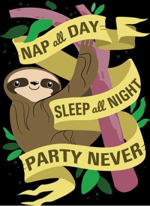 Funniest_Memes_nap-all-day-sleep-all-night-party-never_14244.jpeg