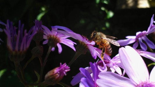 WP_009141 2.jpg