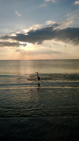 WP_20131030_17_55_06_Pro.jpg
