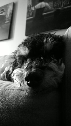 2013_12_03_11_45_45_OneShot.jpg 2013_12_03_11_45_45_OneShot.jpg