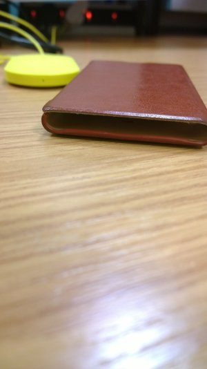 WP_20131112_004.jpg