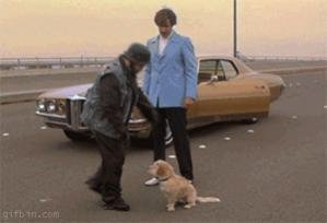 1241100353_anchorman-kicking-the-dog.jpg