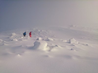 1511696_555064920519_13713455_o.jpg 1511696_555064920519_13713455_o.jpg