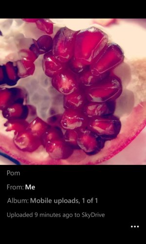 WP_20131119 1.jpg WP_20131119 1.jpg