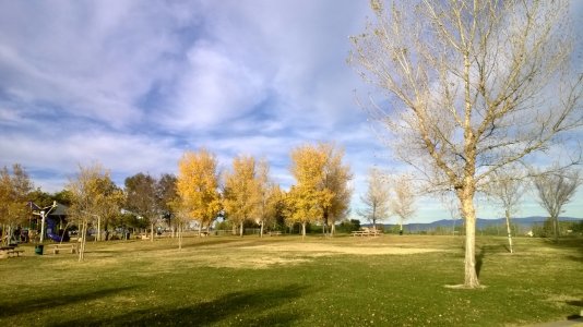 WP_20131215_009.jpg