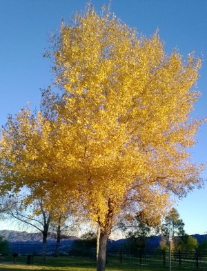 WP_20131214_002.jpg