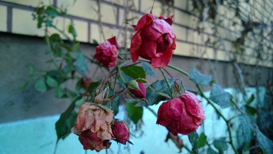 WP_20131214_12_54_33_Pro.jpg