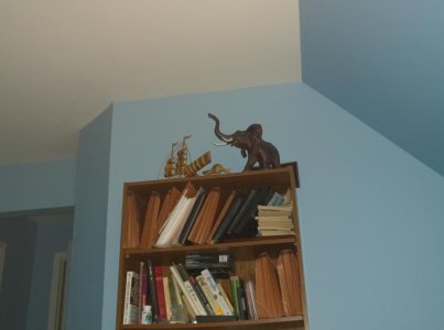 ImageUploadedByWPCentral Forums1387501535.465204.jpg