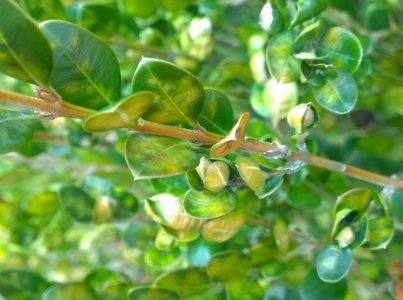 ImageUploadedByWPCentral Forums1387501945.767673.jpg