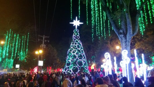 WP_20131214_047.jpg