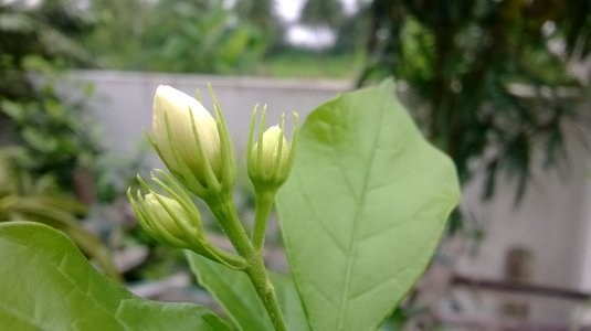 WP_20130920_10_11_35_Pro.jpg