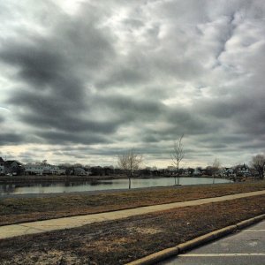 2013-11-16_1384631469.jpg