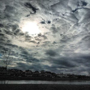 2013-11-16_1384629956.jpg