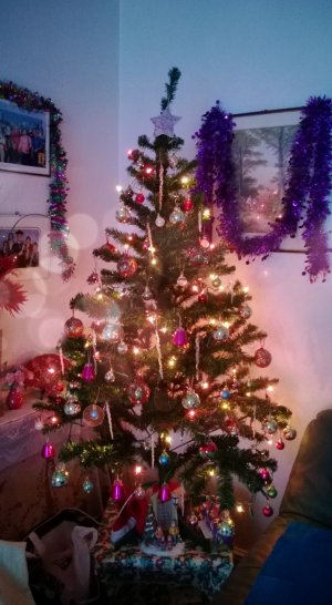 Christmas tree.jpg