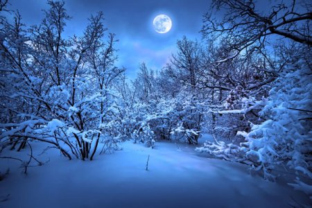 winter-moon.jpg