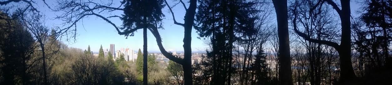 pdxtrees.jpg