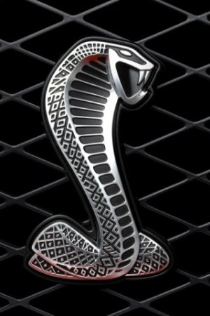 related posts iphone wallpapers choosing the perf.jpeg