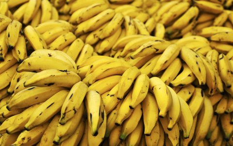 bananas-925216.jpeg