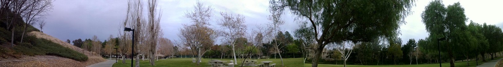 WP_20140126_16_49_21_Panorama.jpg