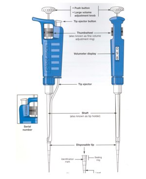 pipetteImages_1.jpg
