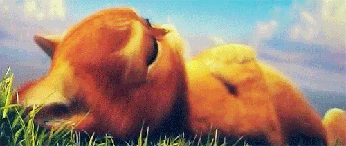 tumblr_m4kxbhnkno1rpauyso1_500 (2).gif