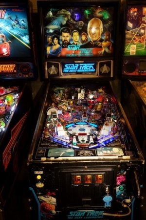 DSC00175 (517x775).jpg