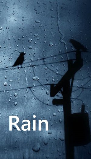 Rain.jpg