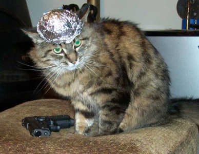 03-04-2014 11-23-39.jpg