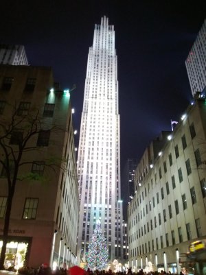 WP_20121202_009.jpg