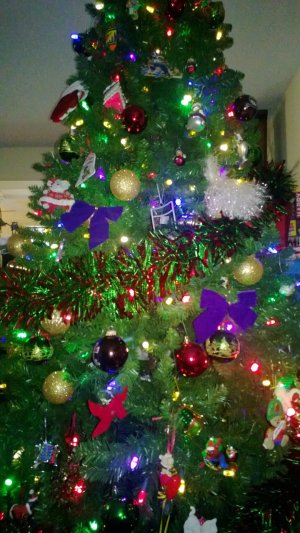 WP_20121219_001.jpg