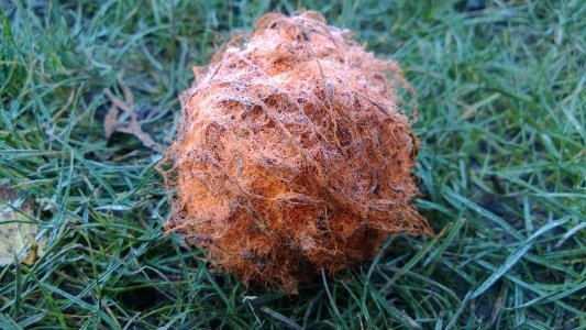 WP_20121230_008.jpg