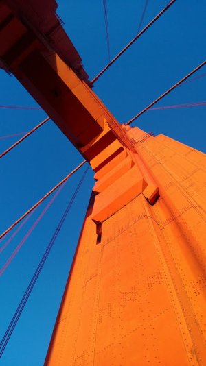 WP_20121230_111.jpg