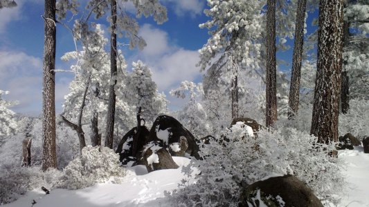 WP_20130209_038.jpg