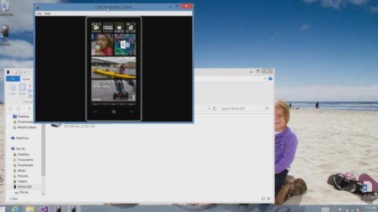 2014-04-06 13_36_42-Screenshot (1114).png - Picasa Photo Viewer.jpg