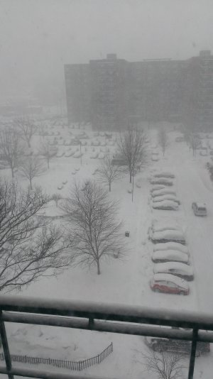 WP_20140213_002.jpg
