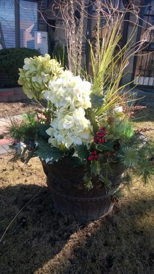 WP_20140321_001.jpg