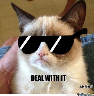 grumpy-cat-deal-with-it_o_1296093.jpg