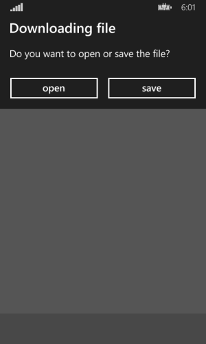 download IE WP8.1.png