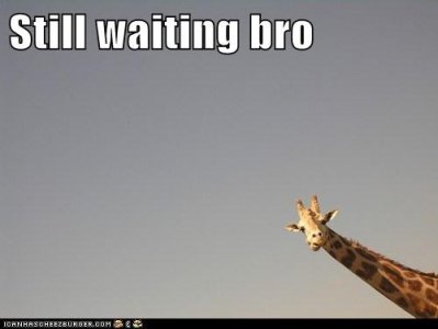 waiting.jpg