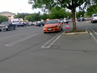 WP_20140424_003[1].jpg