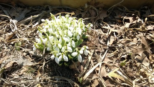 WP_20140311_003.jpg