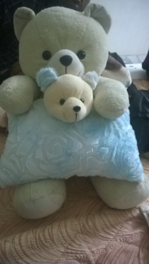 WP_20140226_133.jpg WP_20140226_133.jpg