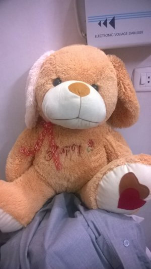 WP_20140416_002.jpg WP_20140416_002.jpg