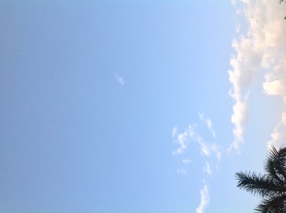 IMG_1076.JPG