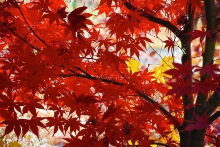 178dc2nhqvd2enofg.jpg 178dc2nhqvd2enofg.jpg