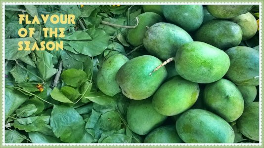 mango1.jpg